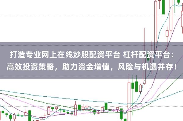 打造专业网上在线炒股配资平台 杠杆配资平台：高效投资策略，助力资金增值，风险与机遇并存！