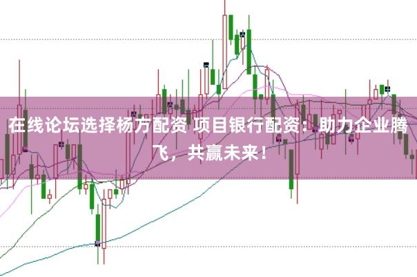在线论坛选择杨方配资 项目银行配资：助力企业腾飞，共赢未来！