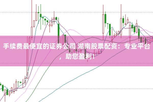 手续费最便宜的证券公司 湖南股票配资：专业平台，助您盈利！
