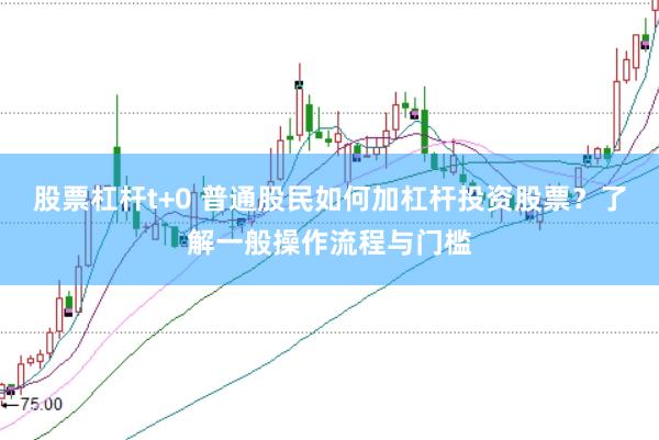股票杠杆t+0 普通股民如何加杠杆投资股票？了解一般操作流程与门槛